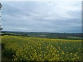 Crop Field near Sutton Scarsdale Hall