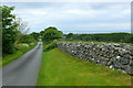 Lon gul uwchben Coed Ystumgwern / Narrow lane above Coed Ystumgwern