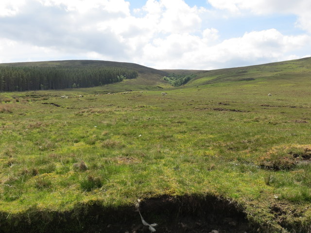 Moorland forest and burn course of Allt an Taghain