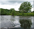 River Etherow