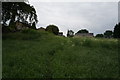 Path leading to Worsbrough