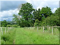 View from the footpath near Lees Road