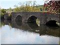 SD3686 : River Leven Newby Bridge by David Dixon