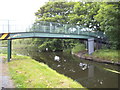 Forest Footbridge