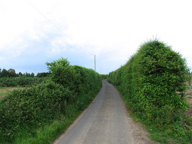 Shoregate Lane, Ham Green © Chris Whippet :: Geograph Britain and Ireland