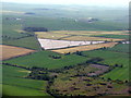 Potato field at Neilshill Farm