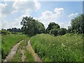 South from Clavering