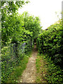 TM3863 : Footpath off Park Avenue by Geographer