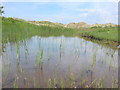 Dune Slack in the Birkdale dunes