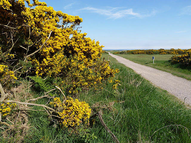 A path across Moray golf course