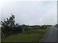 Wall between farmland and moorland 