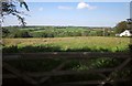 Field above the Torridge valley