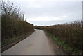 Hedge lined lane