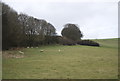 Looking up The Downs