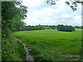 Field and footpath east of Finch Lane