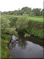 Sankey Brook, Penkford Bridge