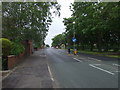 Common Road (A572)