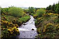 O2108 : Stream by R755 road, Carriggower, Co. Wicklow by P L Chadwick