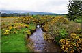O2108 : Stream by R755 road, Carriggower, Co. Wicklow by P L Chadwick