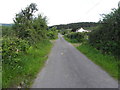 G9724 : Road at Annagh Lower by Kenneth  Allen