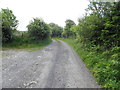 G9723 : Road at Kilgarriff by Kenneth  Allen