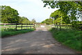 Track to Maplehurst Farm