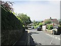 Willow Rise - looking towards Burnley Road