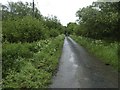 Road to Kirkbride Cottage