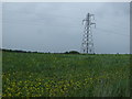 Crop field and pylon