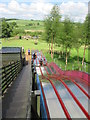 Mabie  Farm  Park.  Down  the  slide