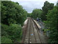 Pemberton Railway Station