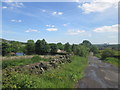 Former mill pond beside Brow Grains Road, Meltham