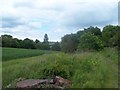 Disused Railway near Hoodcroft