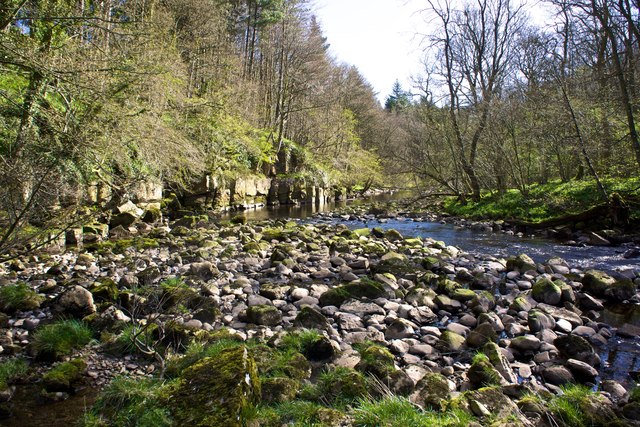 River Greta, Nr Brignall