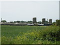 Buildings at College Farm