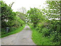 Track  to  Nether  Clifton  Farm