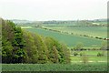 Wood and fields in the Windrush Valley