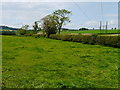 Rough Pasture Near Kennetsideheads