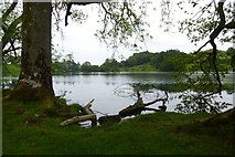 NY3404 : Across Loughrigg Tarn by DS Pugh