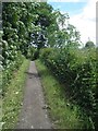 Trans Pennine Trail (TPT) near Silkstone Common