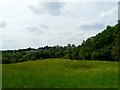 Haughton Dale