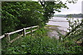 Torridge : River Torridge & Riverbank