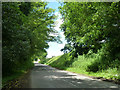 Road near Binstead Place