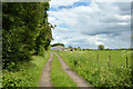 Weardale Way approaching High Butterby Farm