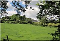 Field, Higher Elsford Farm