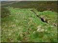 NJ2103 : Trace path by Easter Shenalt on Brown Cow Hill, Grampian by ian shiell