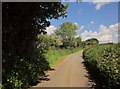 Lane near Blackingstone Farm