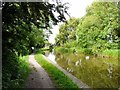 Peak Forest Canal