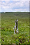 SH9220 : Efallai mai maen terfyn ydy hwn / Perhaps a boundary stone by Ian Medcalf
