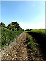 TM3780 : Field edge near Spexhall House & footpath by Geographer